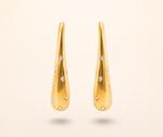 Load image into Gallery viewer, Elegant Drop Earrings
