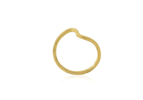 Abstract Curve Ring